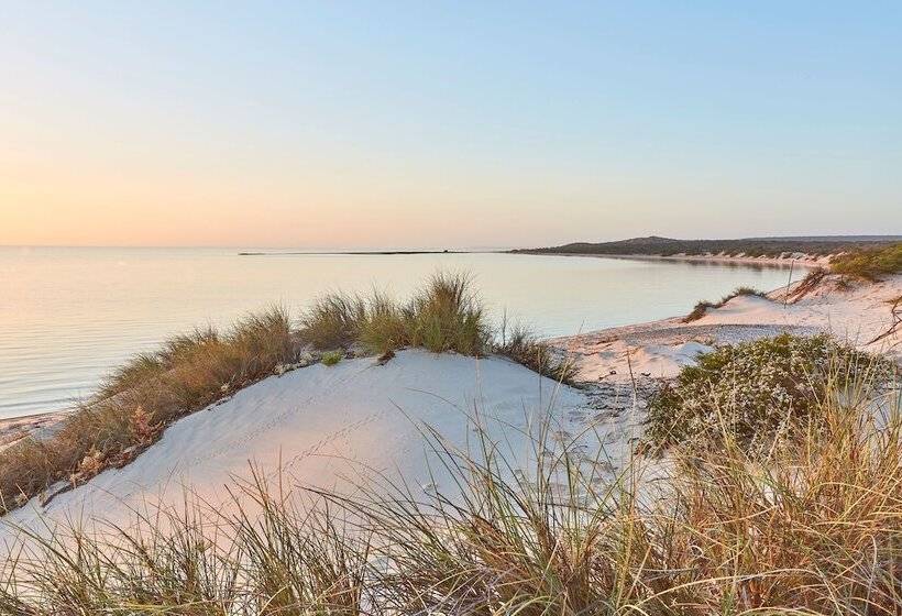 هتل Rac Monkey Mia Dolphin Resort