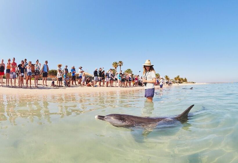 هتل Rac Monkey Mia Dolphin Resort