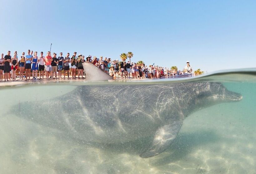 Hotel Rac Monkey Mia Dolphin Resort