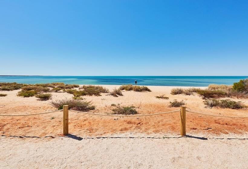 هتل Rac Monkey Mia Dolphin Resort