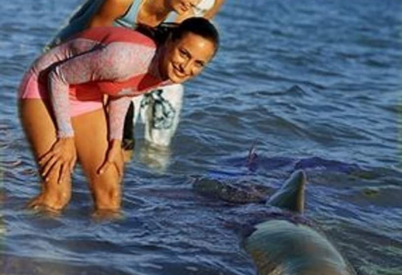 Hotel Rac Monkey Mia Dolphin Resort