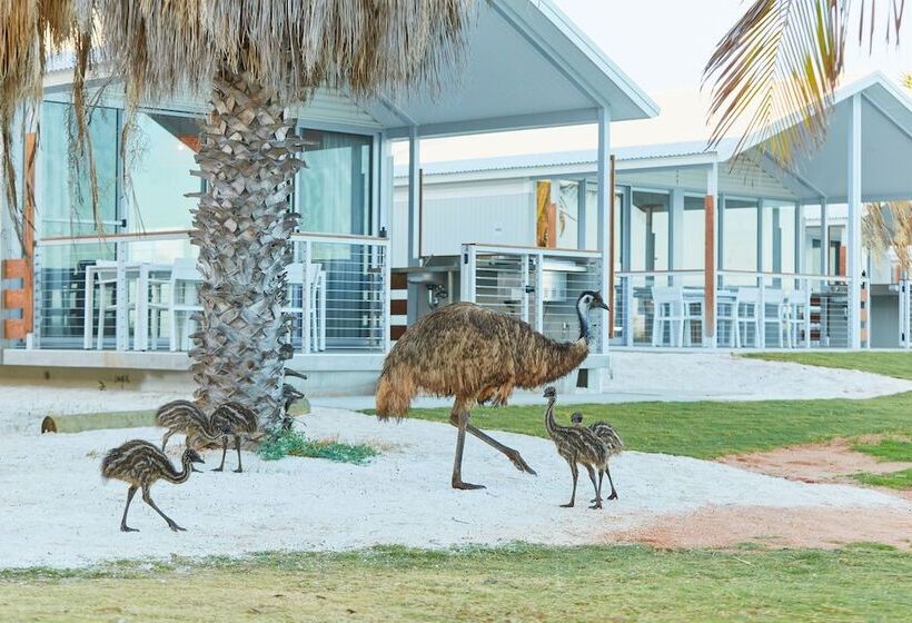 هتل Rac Monkey Mia Dolphin Resort