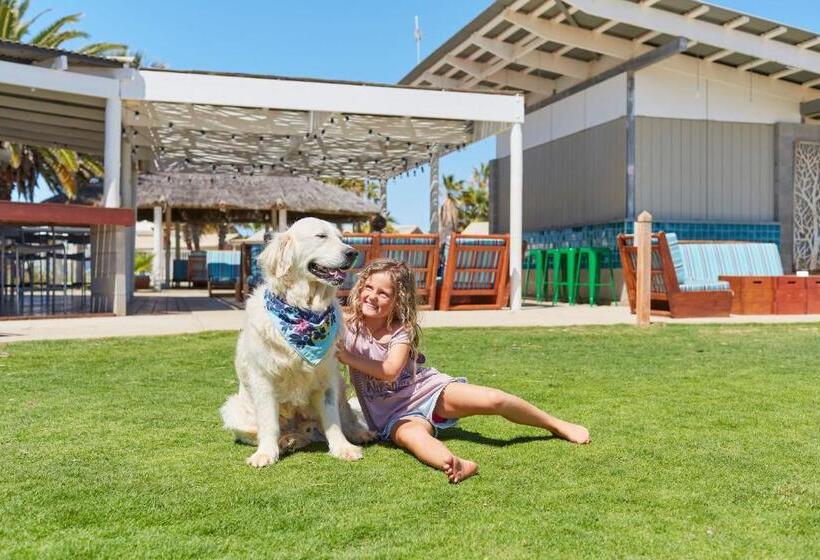 هتل Rac Monkey Mia Dolphin Resort