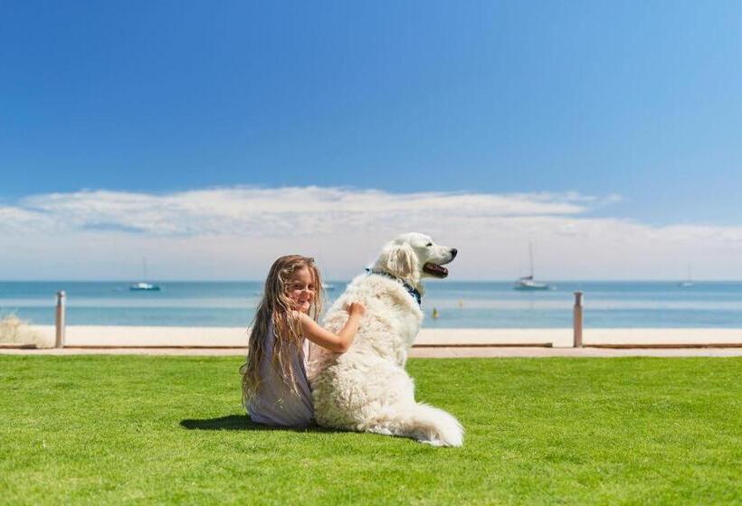 Hotel Rac Monkey Mia Dolphin Resort