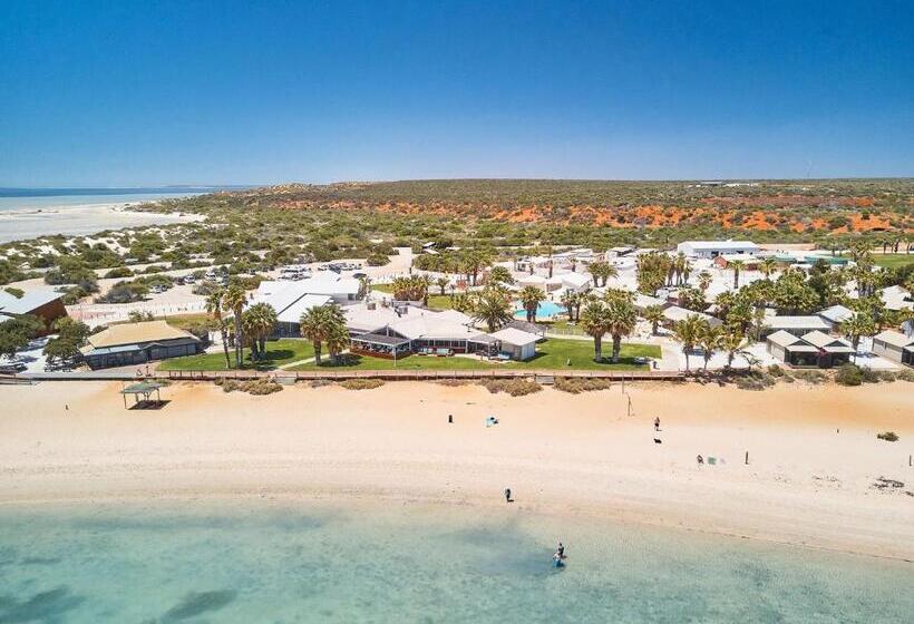 هتل Rac Monkey Mia Dolphin Resort