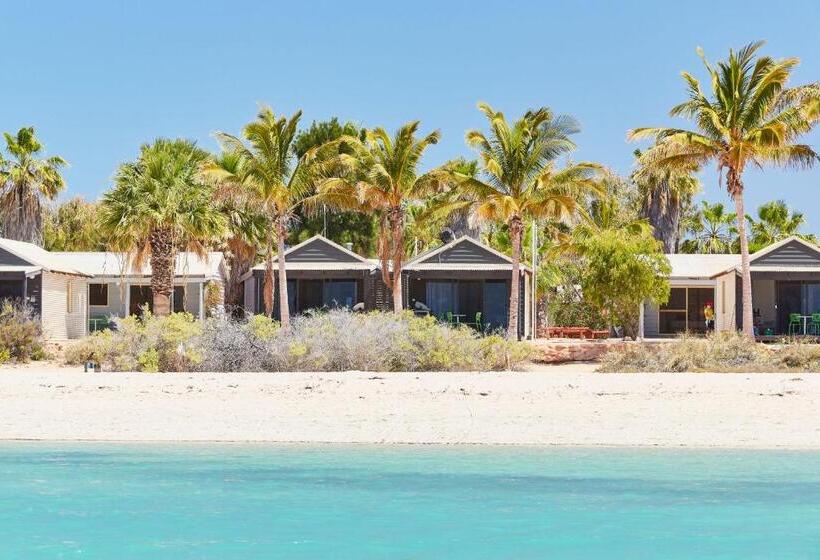 هتل Rac Monkey Mia Dolphin Resort