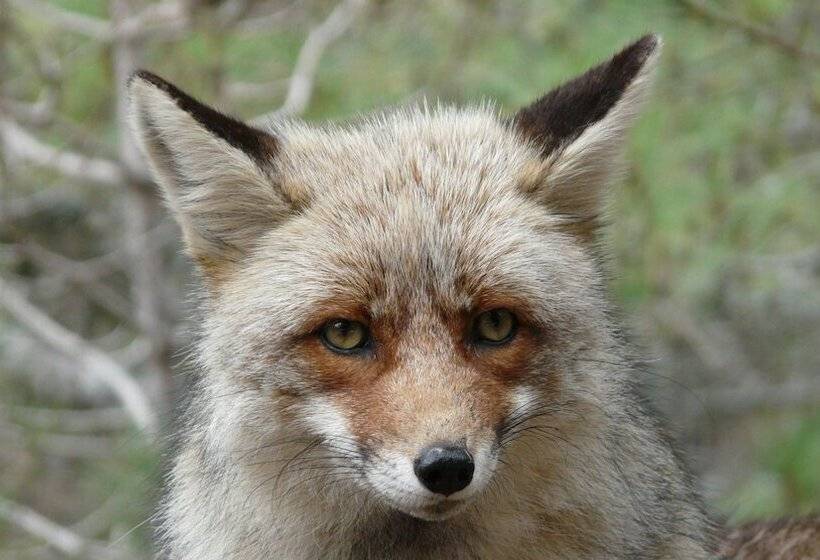 ホテル Rural Montana De Cazorla