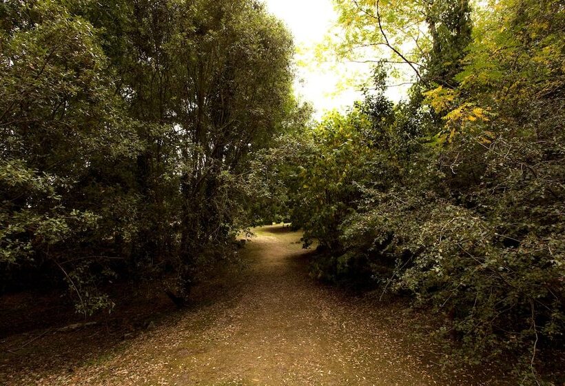 فندق Nuevo San Román De Escalante