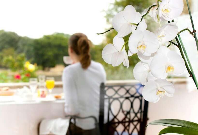 فندق Nuevo San Román De Escalante