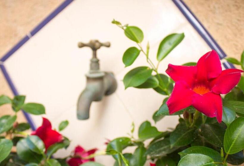 Отель Son Cleda House Boutique, Adults Only