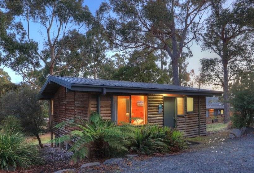 فندق Stewarts Bay Lodge