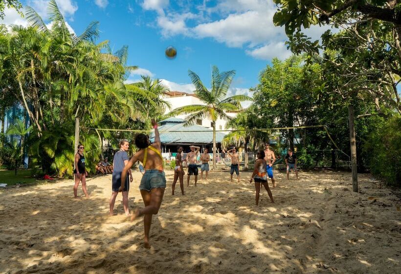 Отель Summer House Cairns