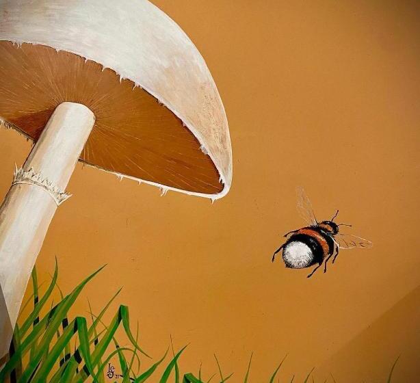 酒店 Sundancer Backpackers Hostel