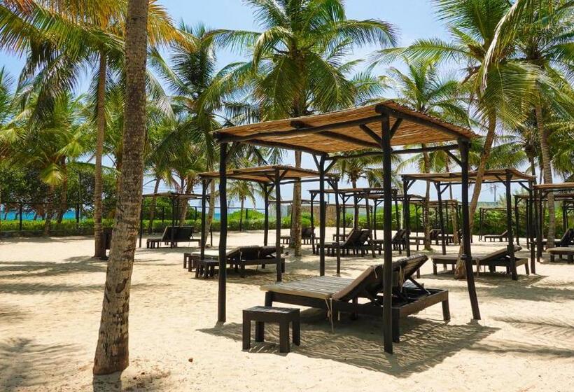 酒店 Sunsol Isla Caribe