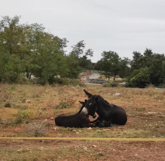 Hotel Vecchia Mottola Albergo Diffuso