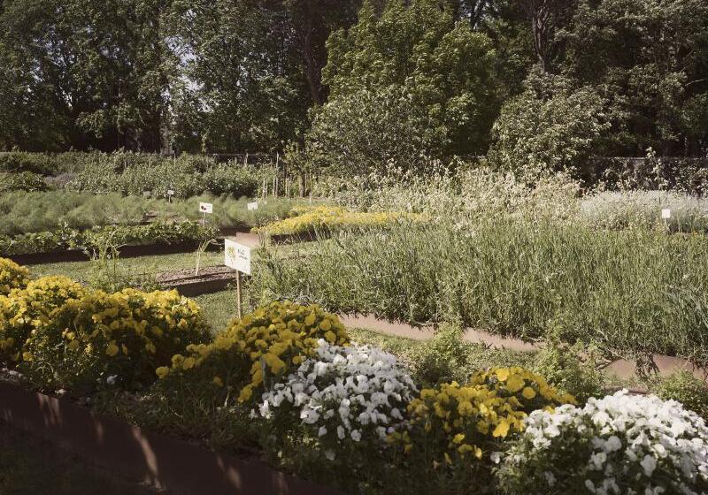 ホテル Villa Abbondanzi Resort