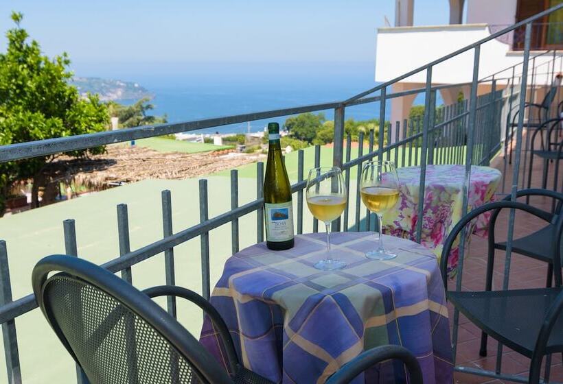 ホテル Villa Fiorentina