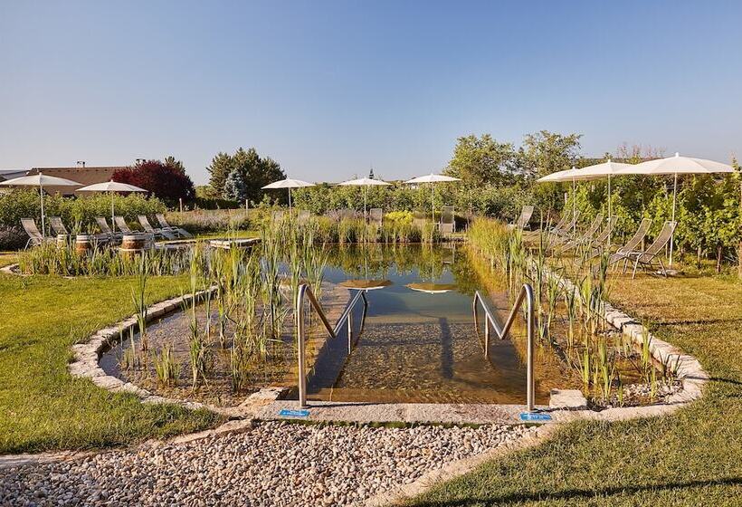 Loisium Wine & Spa Hotel Langenlois