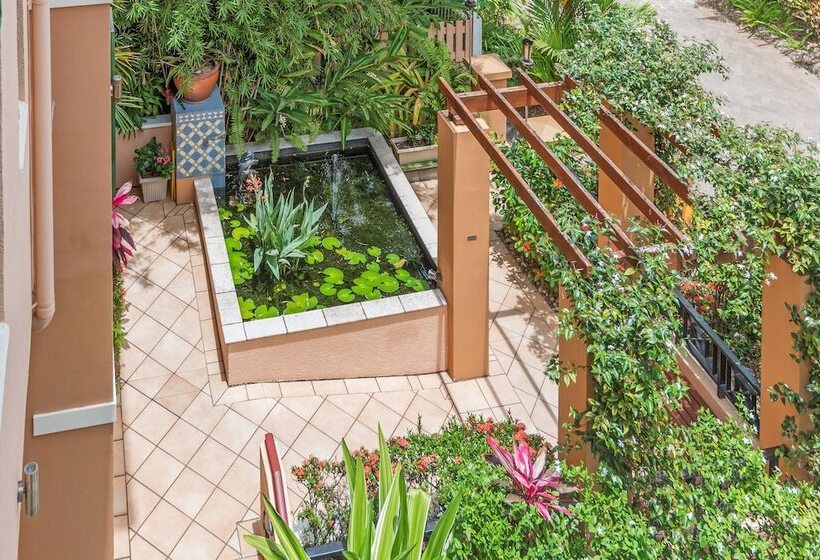 Martinique On Macrossan