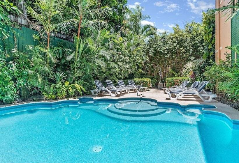 Martinique On Macrossan