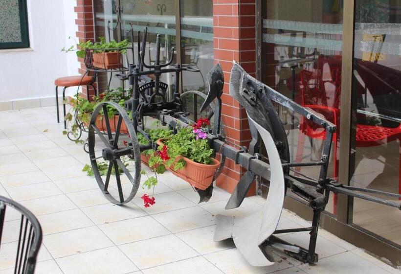 Park Hotel Briz All Inclusive & Free Parking