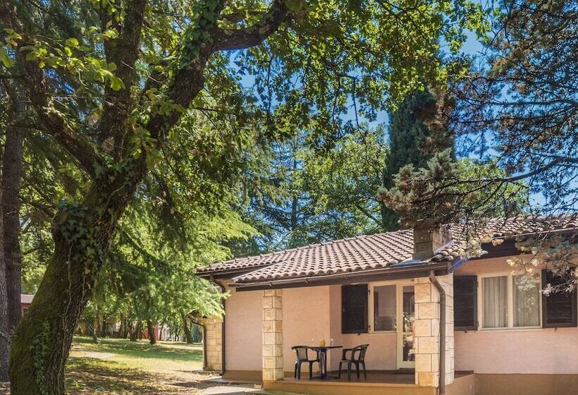 Apartments Polynesia Plava Laguna