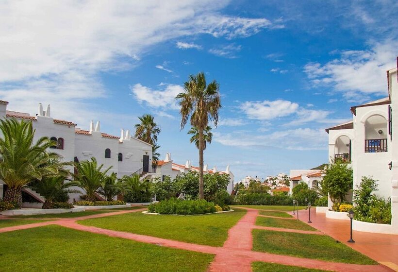 Fergus Club Carema Splash