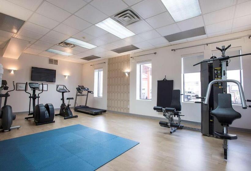 בית מלון כפרי Albert Par G5