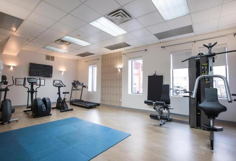 בית מלון כפרי Albert Par G5