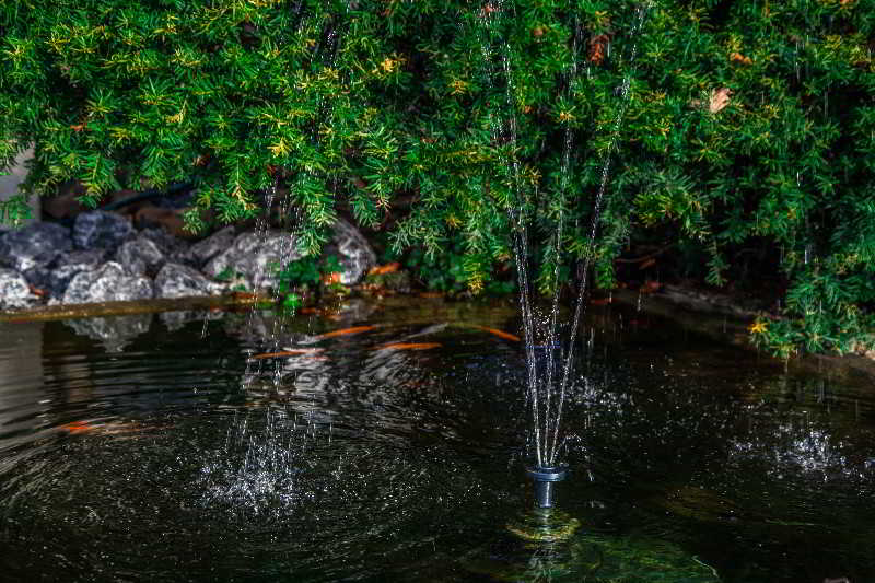 فندق Alp De Veenen