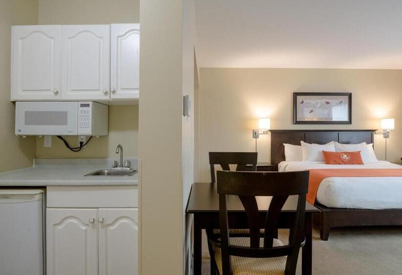 فندق Amsterdam Inn & Suites Sussex