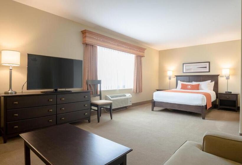 فندق Amsterdam Inn & Suites Sussex