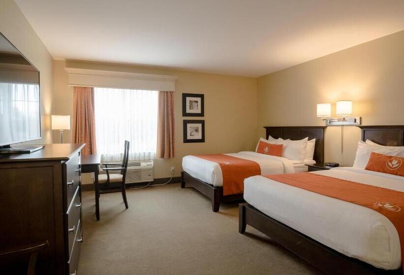 فندق Amsterdam Inn & Suites Sussex