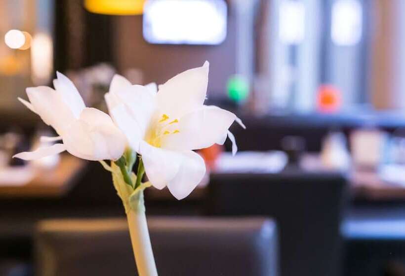 & Aparthotel Alize Mouscron