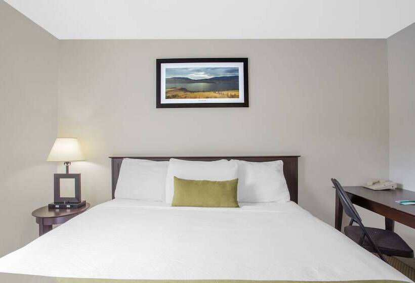 فندق Barriere Motor Inn