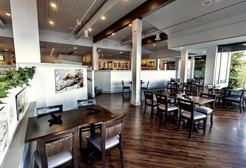 Bayside Resort, Ascend Hotel Collection