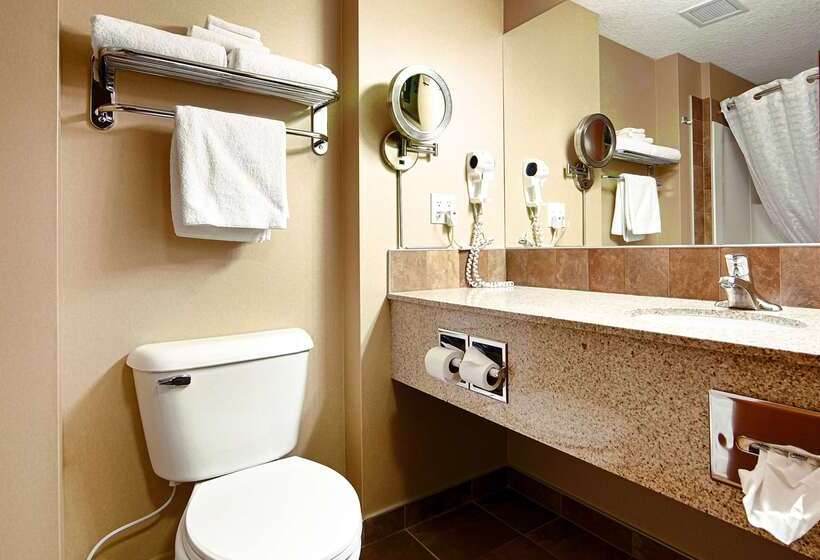 فندق Best Western Diamond Inn