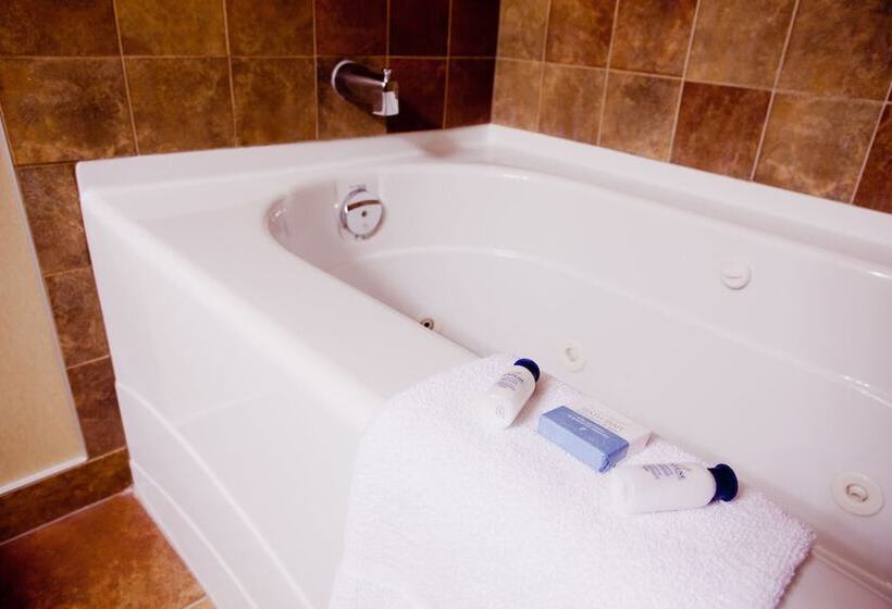 فندق Best Western Diamond Inn