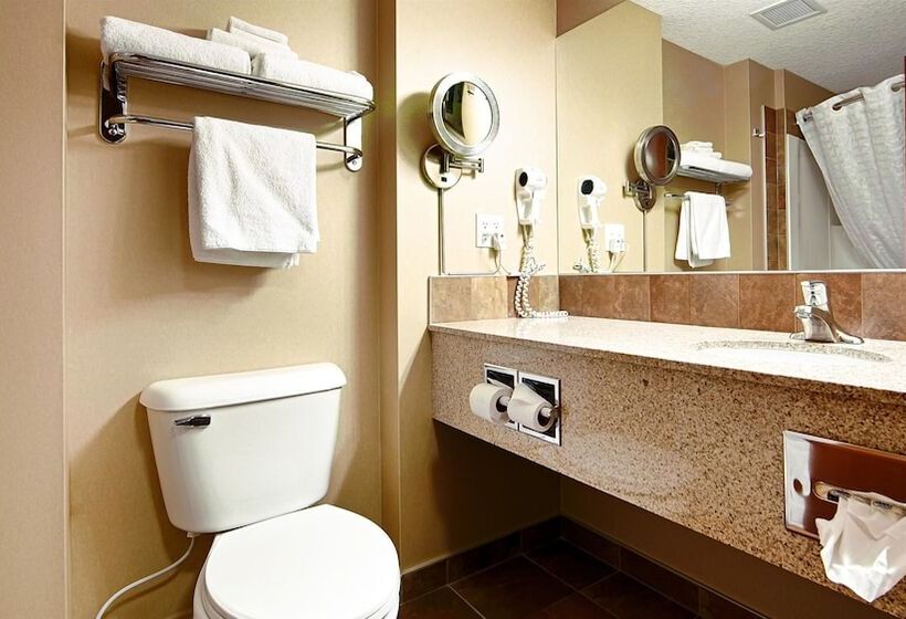 فندق Best Western Diamond Inn