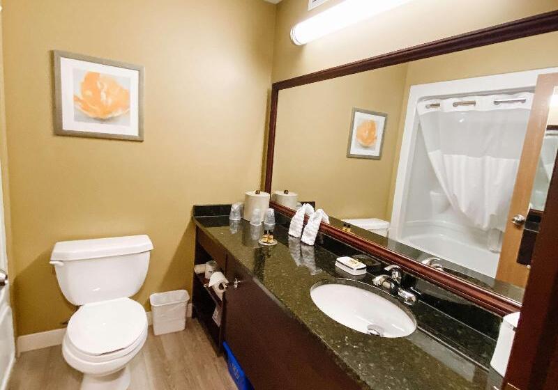 Best Western Plus Grand Sault Hotel & Suites