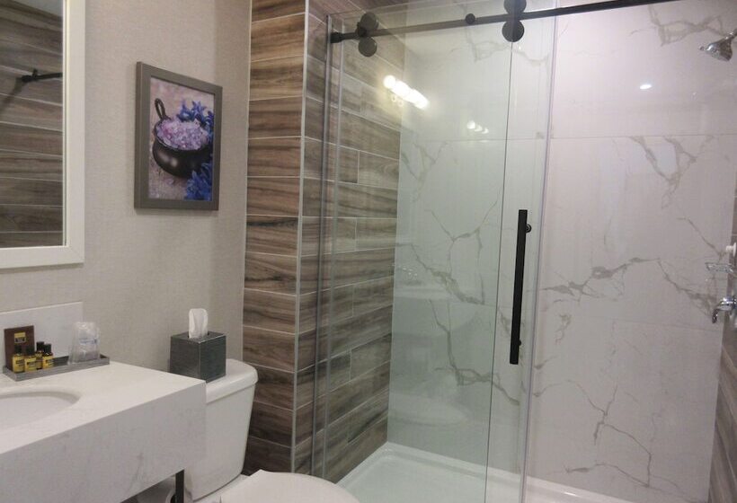 酒店 Best Western Plus Montreal East