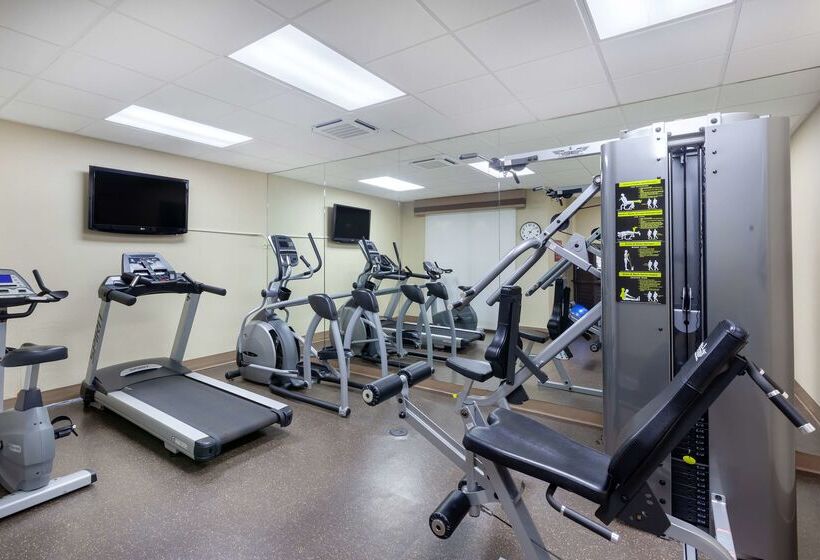 فندق Best Western Plus Muskoka Inn