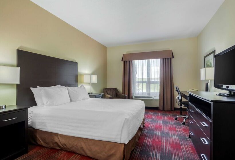 Szálloda Best Western Plus Red Deer Inn & Suite