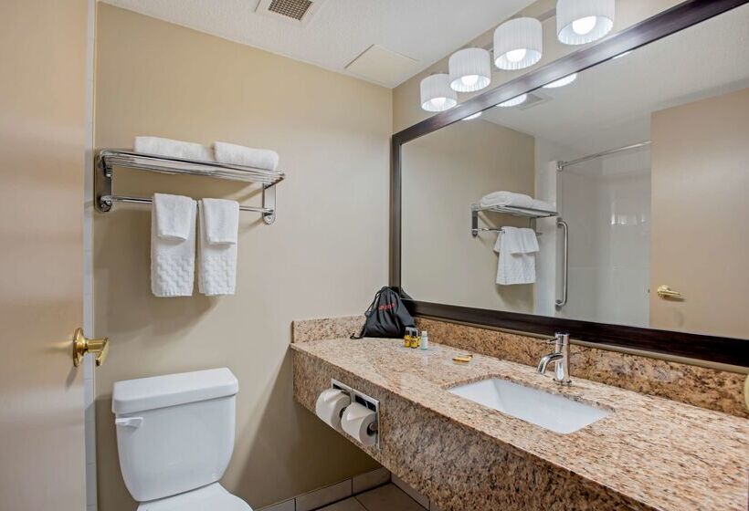 هتل Best Western Plus Red Deer Inn & Suite