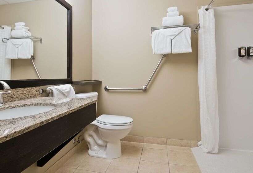 בית מלון כפרי Best Western Rocky Mountain House