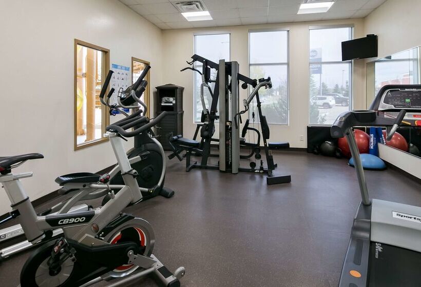 בית מלון כפרי Best Western Rocky Mountain House