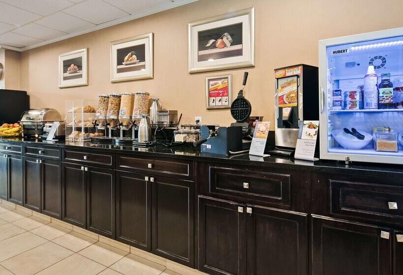 فندق Best Western Rocky Mountain House