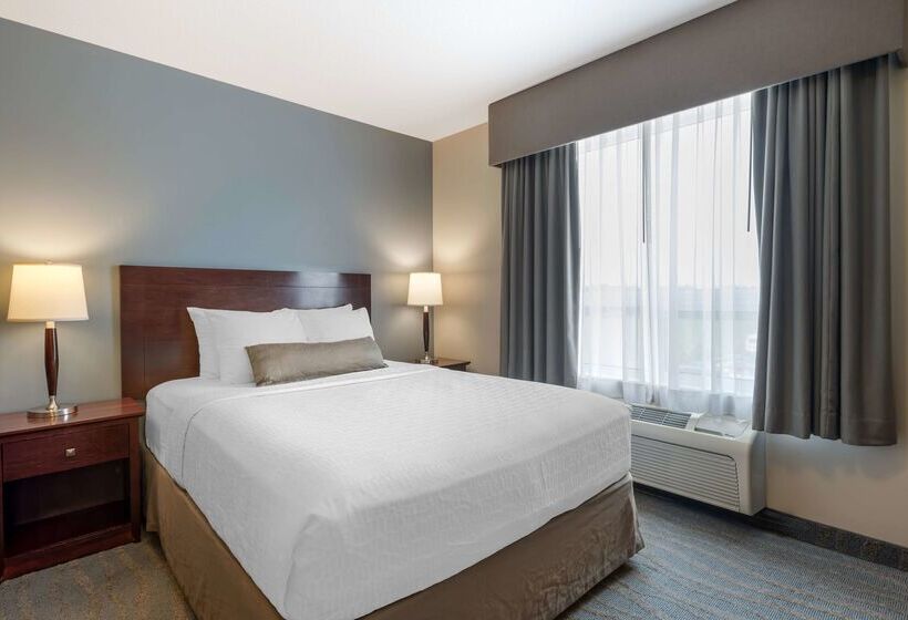 בית מלון כפרי Best Western Rocky Mountain House