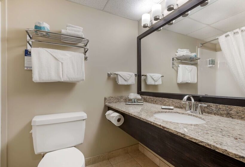 בית מלון כפרי Best Western Rocky Mountain House