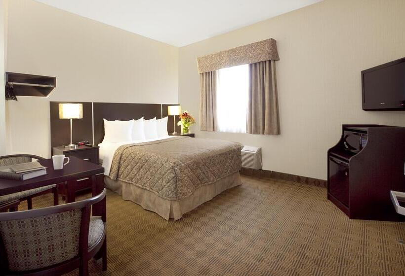 酒店 Canadas Best Value Inn Toronto